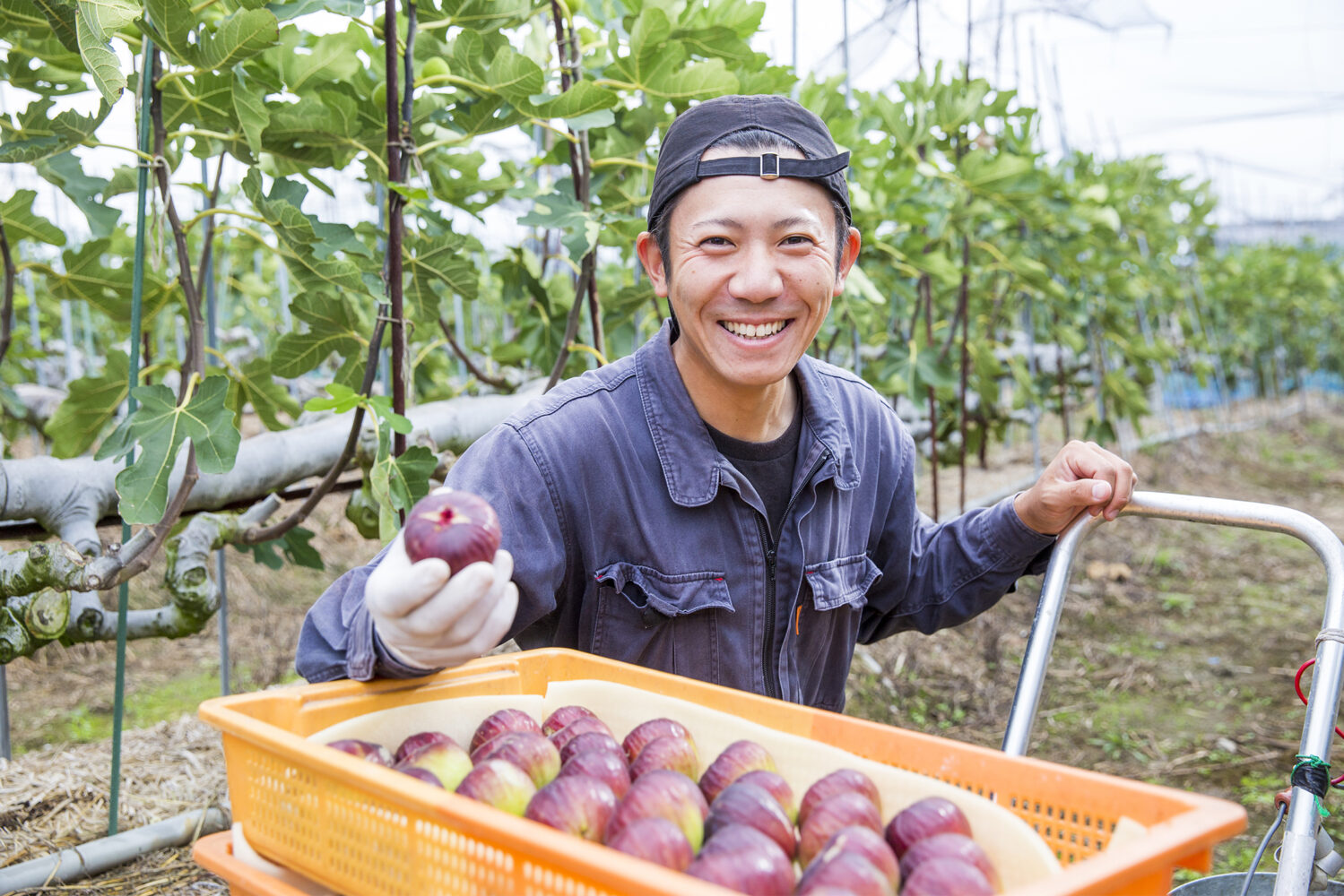 feeding-the-economy-feeding-the-economy