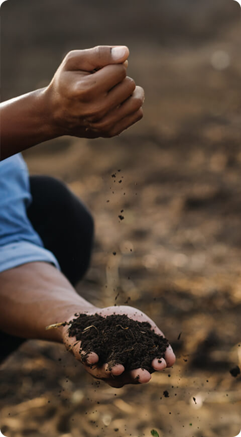 farmer checks the quality of soil
